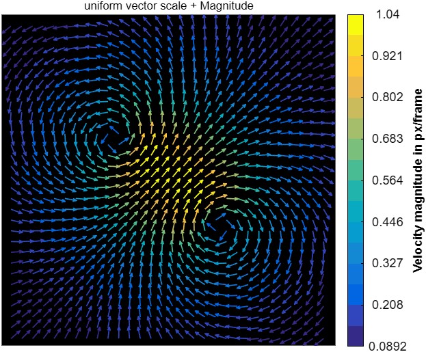 The same vortex-pair field drawn with uniform vector scale so all arrows are equal length, with color still encoding velocity magnitude