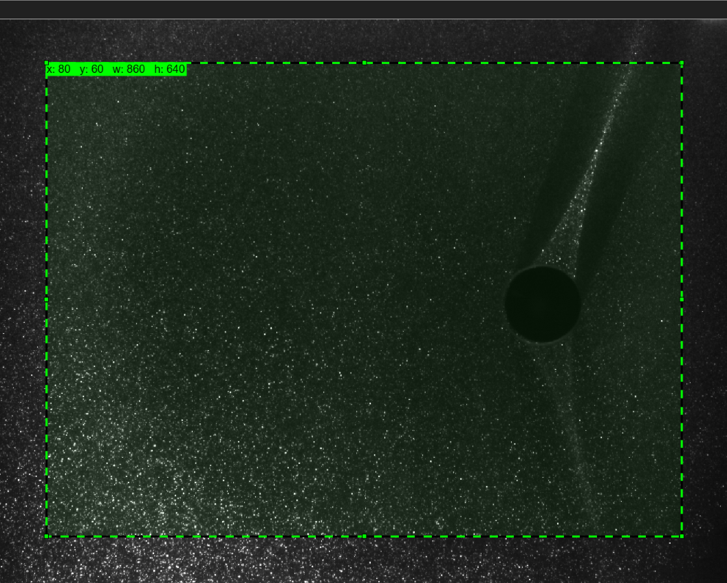 A green ROI rectangle drawn over part of the Karman-vortex example image