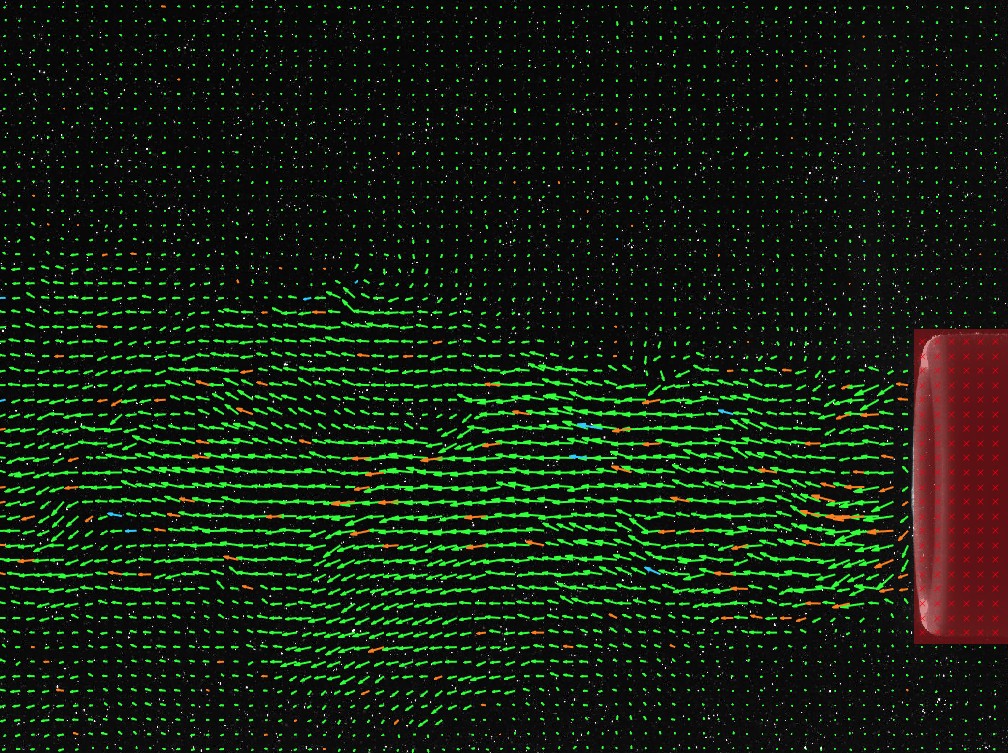Vector field colour-coded by type: mostly green valid vectors, a few orange rejected/interpolated ones and cyan second-peak vectors, with the masked object shown in red